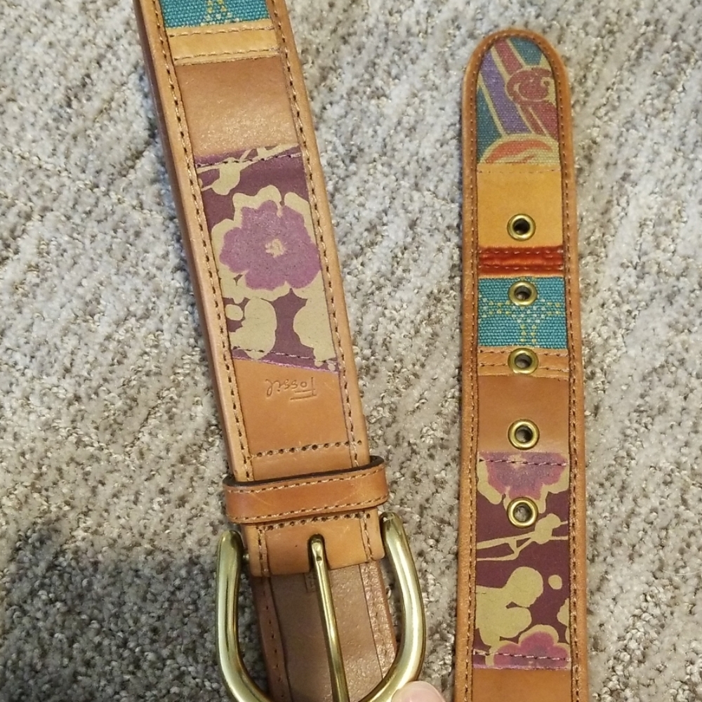 Fossil belt